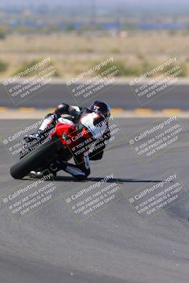 media/Oct-08-2022-SoCal Trackdays (Sat) [[1fc3beec89]]/Turn 11 Backside (1145am)/